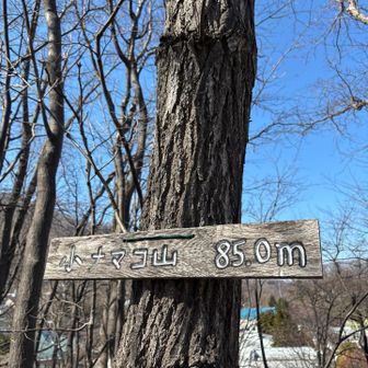 小ナマコ山頂
小ナマコ山は低いけれど…歩けることが嬉しくて〜山頂に立つと心からありがとうと思います