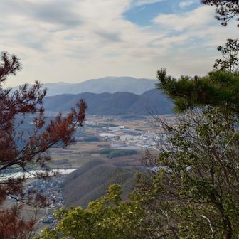 ずらっとビールタンク。