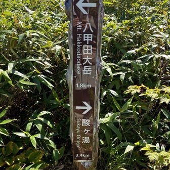 後少し