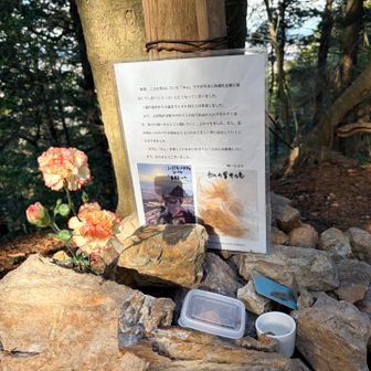 山頂には沢山登ってたワン様がお亡くなりになったとのお供えが🐕とても愛されてたワン様でよかった