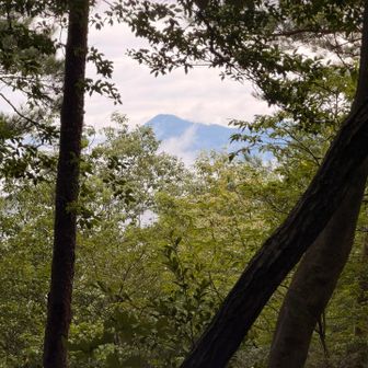 大和富士（額井岳）との事です。