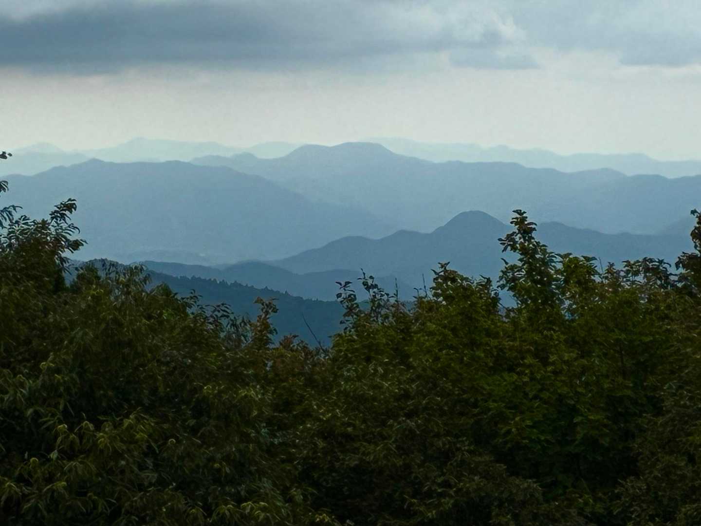 鳩ヶ峰-大江山-鍋塚 周回コースの写真