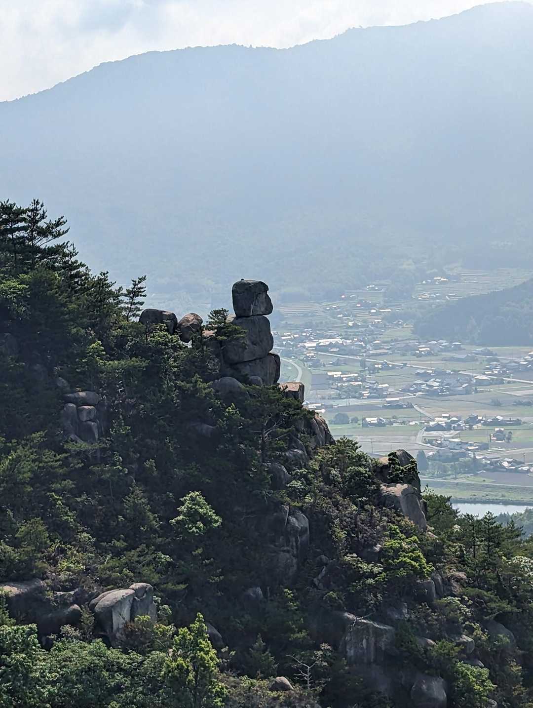 変わったやつがおる👀
