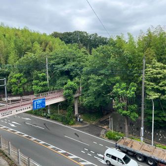 歩道橋を渡って
車たちと同じ右の方へ進む