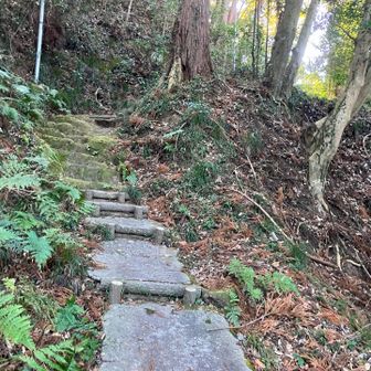 参道がコースになってます