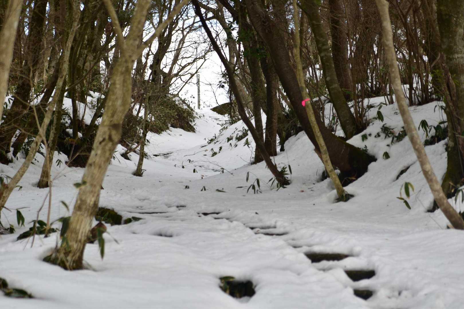 タニシ仏を過ぎると、すぐに山頂駐車場が見えてくる