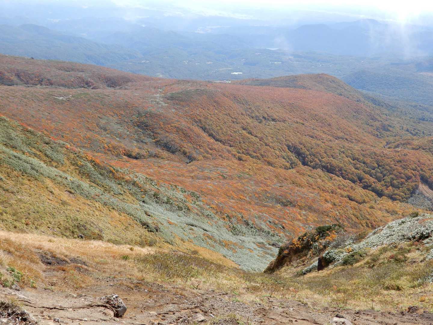 キレイなので何度も写真を撮ってしまいます