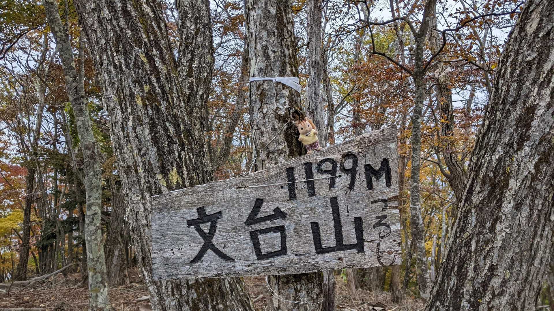 風が冷たく小雨が降り始める💦
早々に下山開始💨