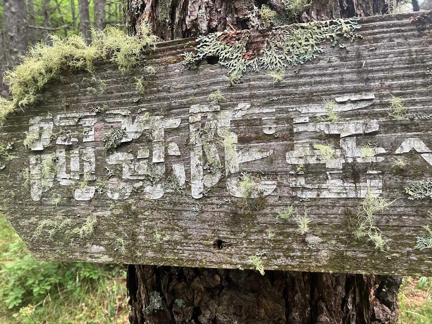苔むす標識