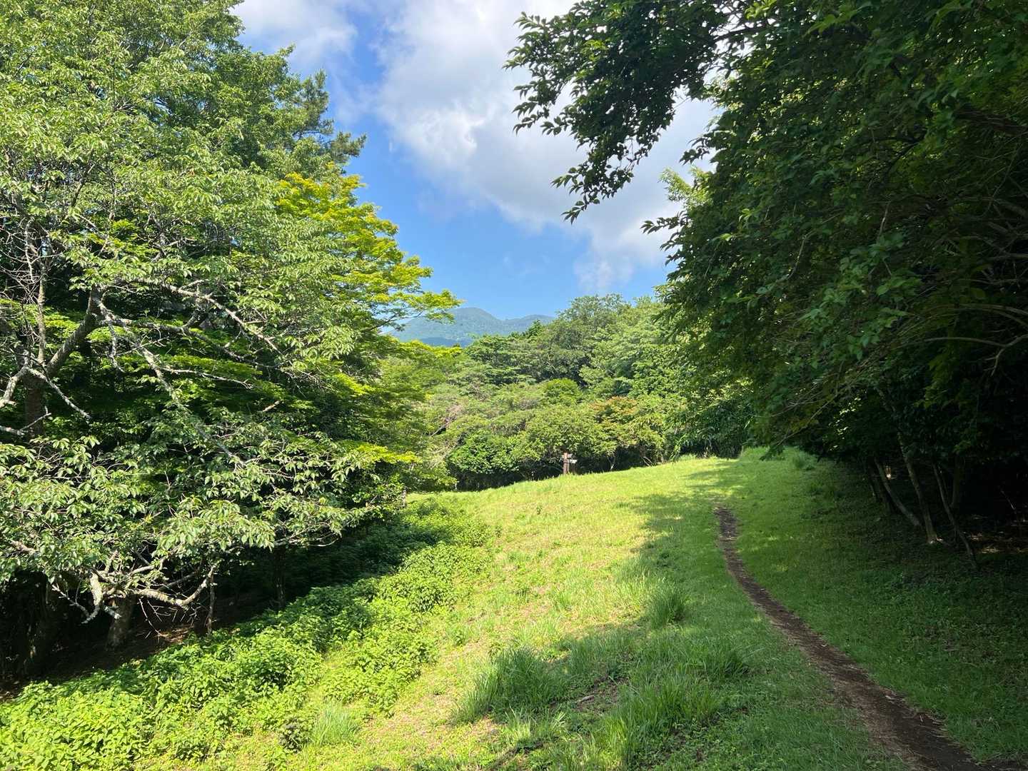 神山と冠ヶ岳が見える
