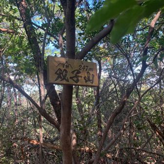 双子山到着