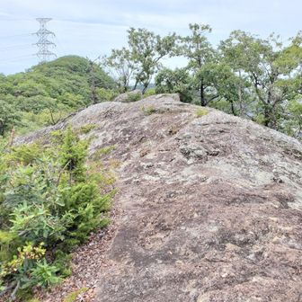 岩もあります