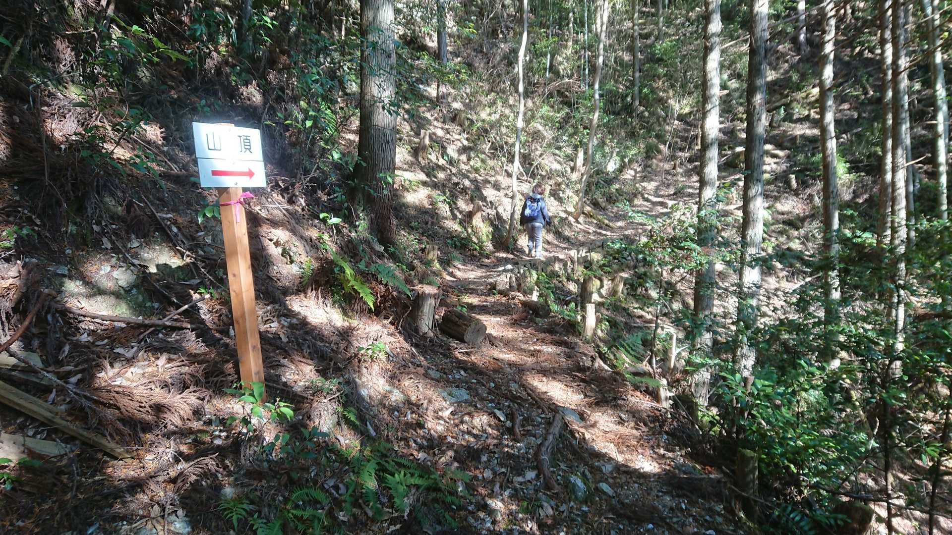 道はよく整備されて、看板もあるので安心感も👍