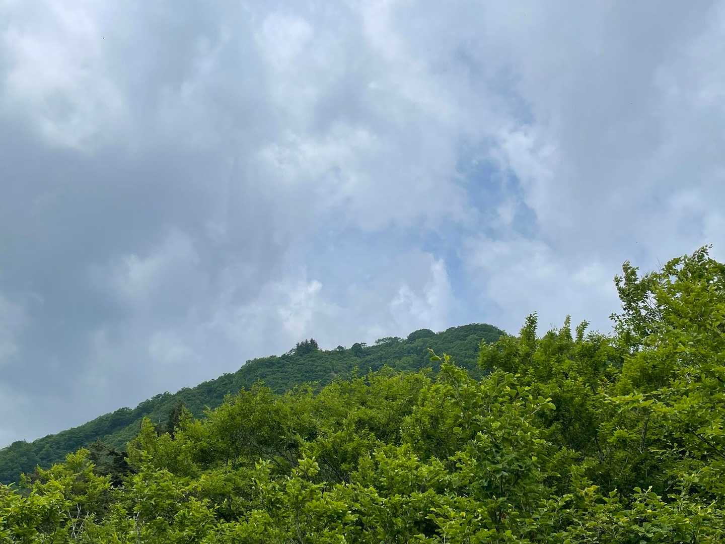 あれが山頂👀