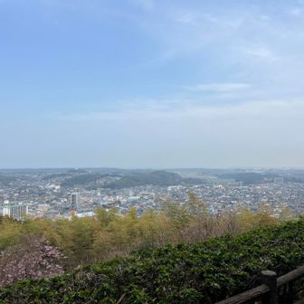 東屋のある展望所からの景色。
この山は山頂が展望無いので、展望はここで楽しみましょう。