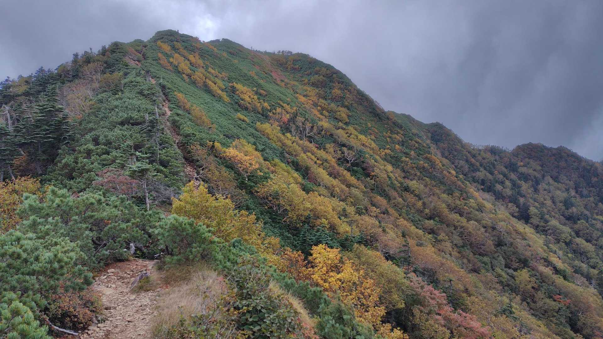 更に女峰山は近くなる。