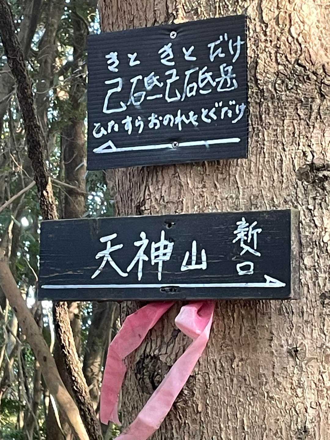 天神山⛰️