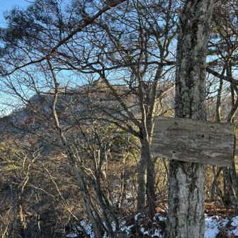 山頂標識見えないけど鉄城山。