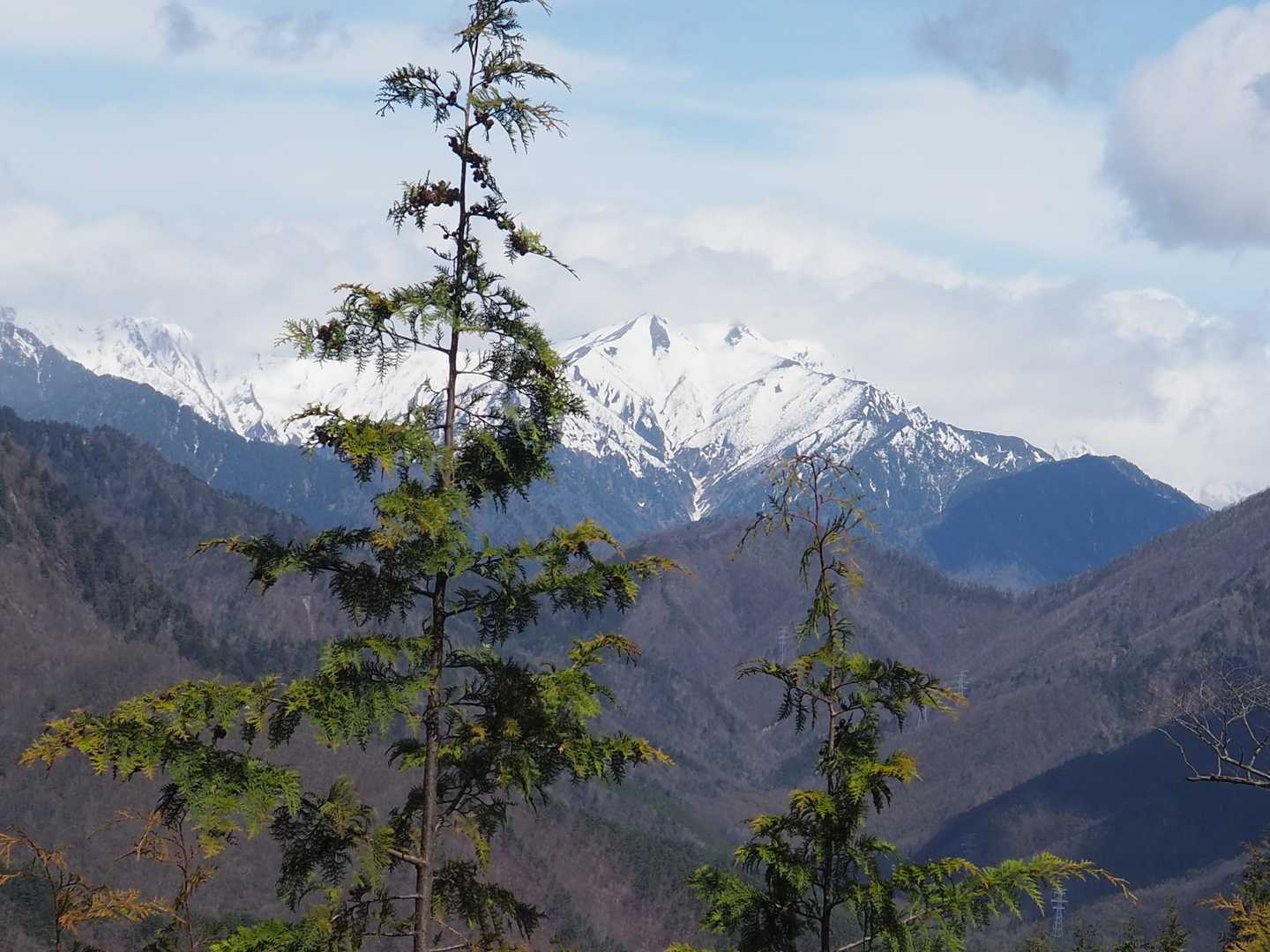 雨引山登山口-雨引山 周回コースの写真
