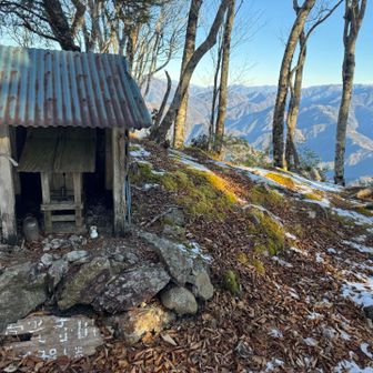素敵な森をさくさくさくと進みますと、、
おおお〜❤️❤️❤️お〜❤️❤️❤️