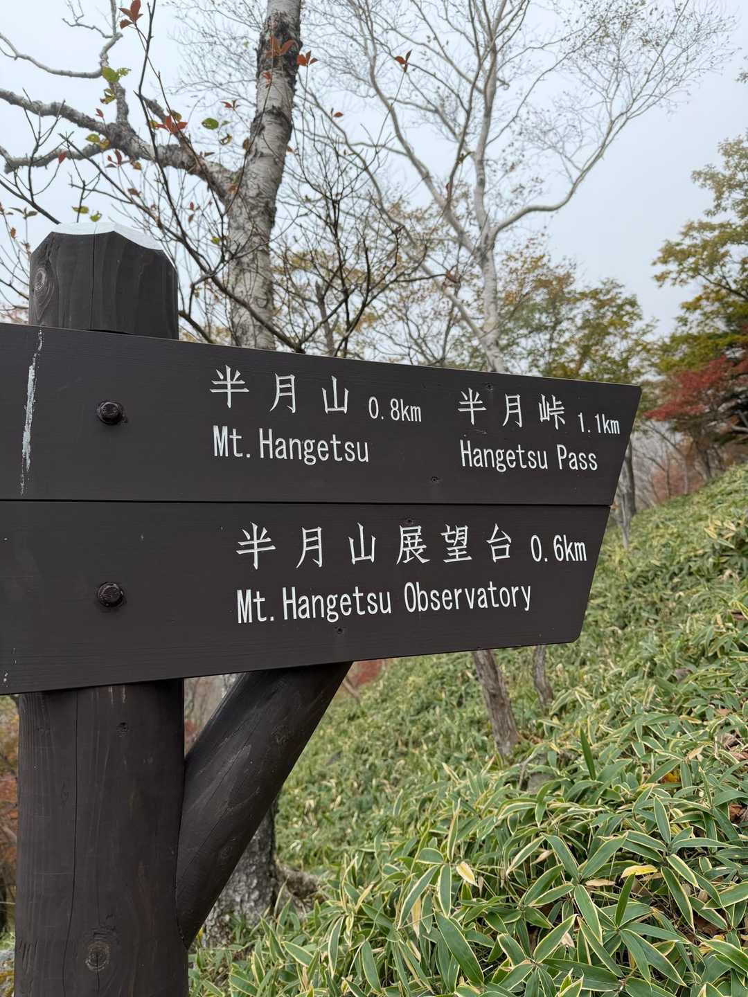 半月山-半月峠-中禅寺山 往復コースの写真