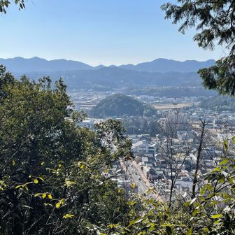 ピークのある安桜山へ進み