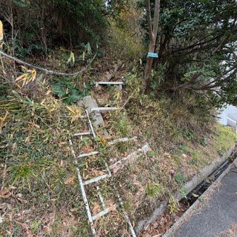 いわし山登山口。
いきなり梯子❗️