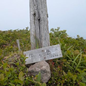山頂⛰️
ガスで真っ白😭