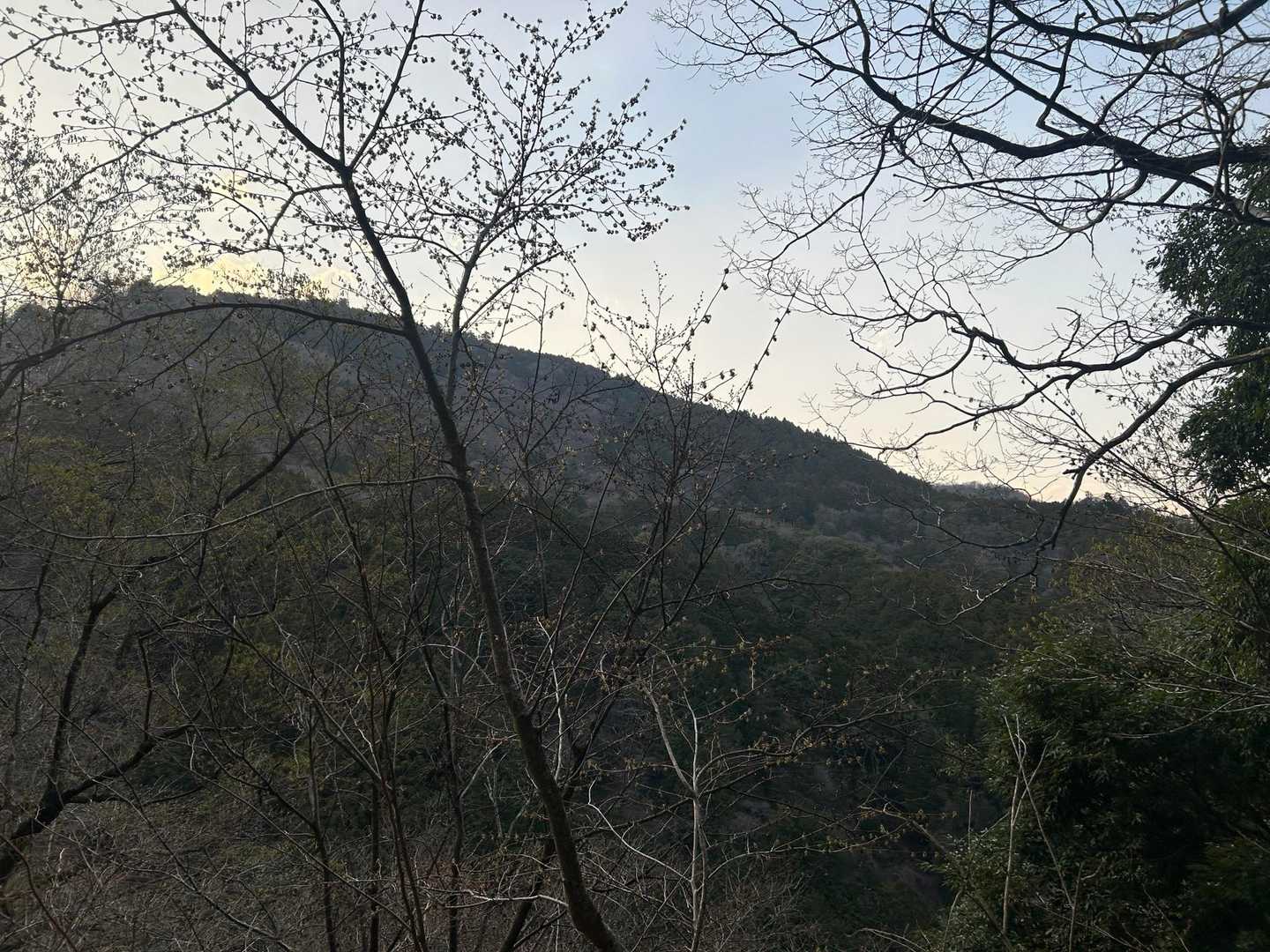 この山を歩いてきたんかー。見た目によらずキツい山⛰️大山三峰！皆様奮ってお登りください🥰