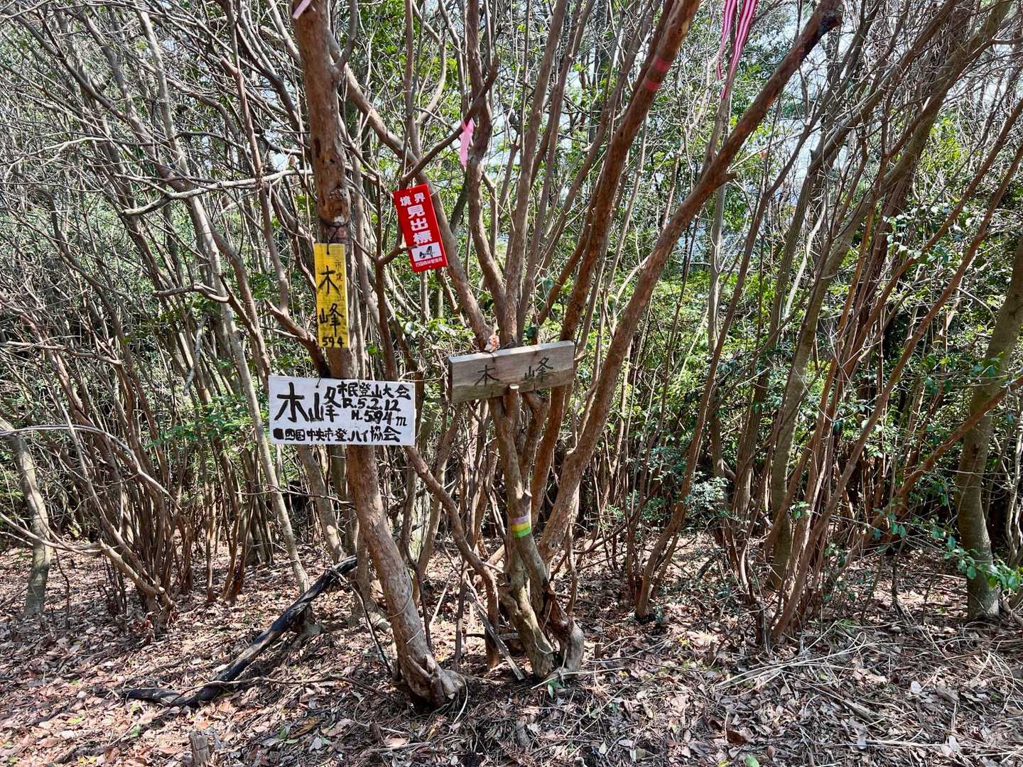 3座目の木峰