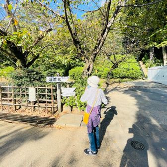 さぁ行きましょう♫ゆっくりね