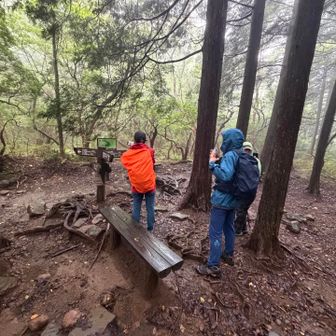 四辻からは反時計回りで、まずは万三郎山を目指します💪

小雨が降っているので、みんなレインを着込みました。