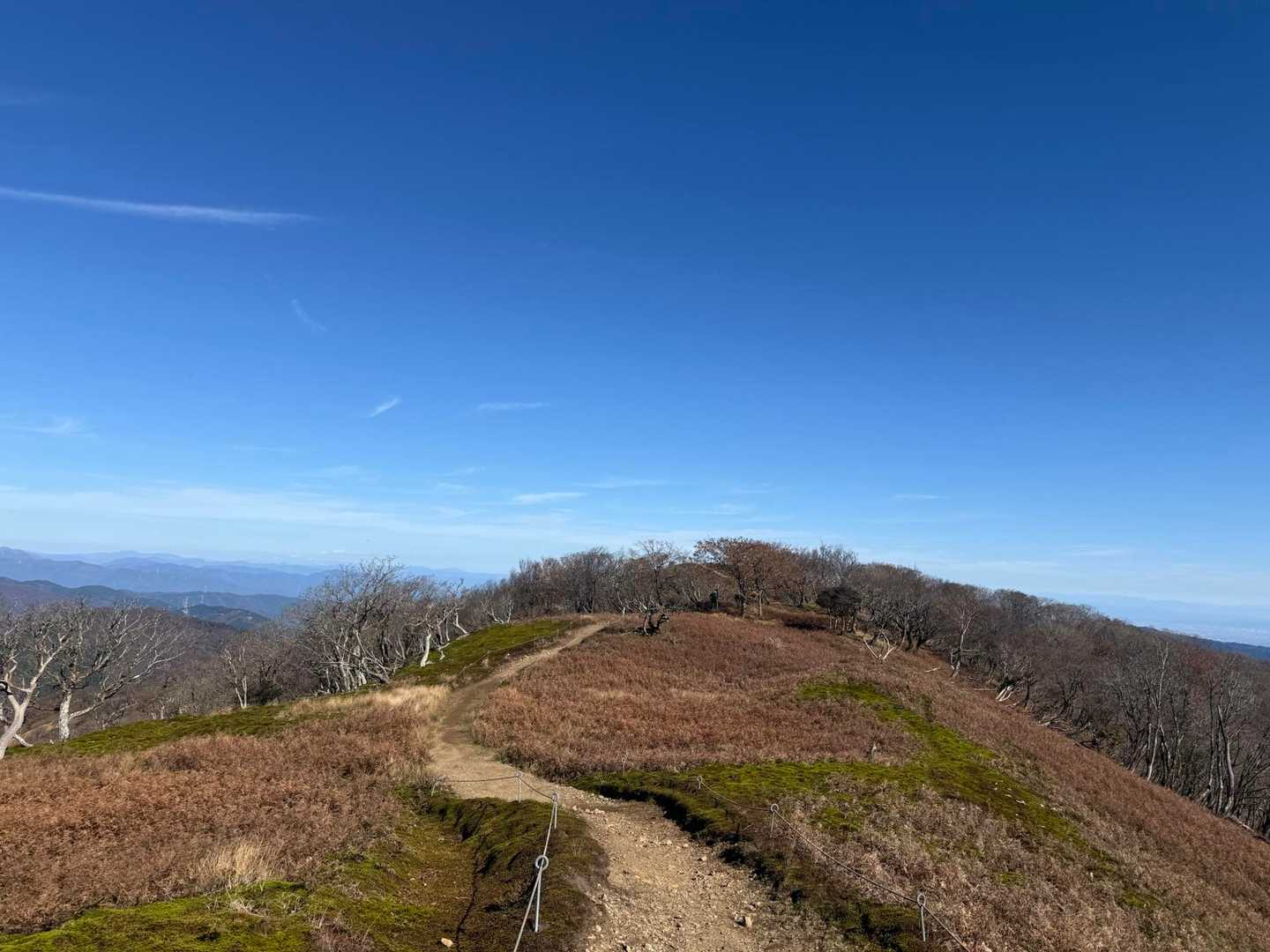 鞍掛トンネル東登山口-鞍掛峠-鈴北岳 往復コースの写真