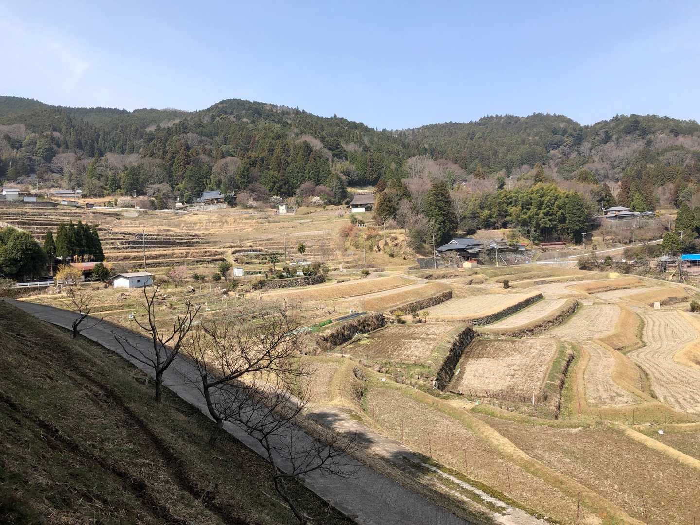 長谷の棚田、心が和む風景です。