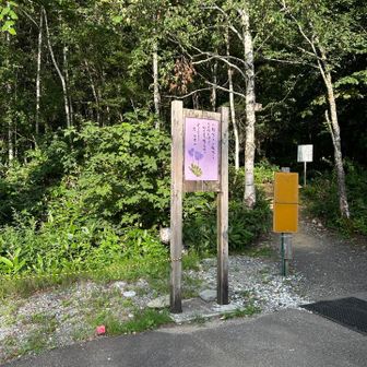 駐車場に戻ってきました。
車は2台🚙
１台は昨日から駐車なので私たちが最後でした。
駐車場にはウォシュレット付きトイレと靴洗い場がありました💛有難いです。

駐車場領収書を提示すると雪ささの湯を割引入浴できる様ですが、領収書をもらえませんでした。代わりに宿場の湯の割引券が靴洗い場の脇に置いてあったのでもらいました。駐車場を出る際に代金600円をポストに入れました📮

感想
日帰りで仙ノ倉山に登りました👏
疲れましたね💦
平標山の家に泊まってエビス大黒の頭からの景色を眺めるのも良いと思います♪
