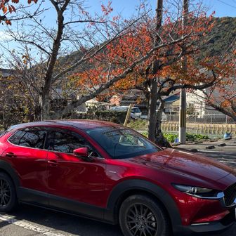 駐車場とおちゃこ
10:02