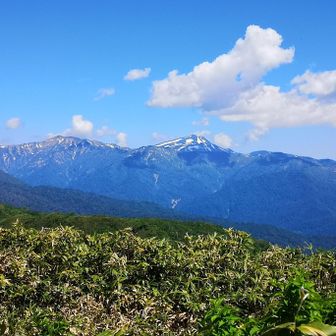 早く岐阜側からの道が復活しませんかねぇ