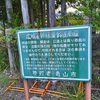 この林道を延々と歩けば
鈴鹿峠の麓の坂下まで行けます
全線歩くのは初めて
