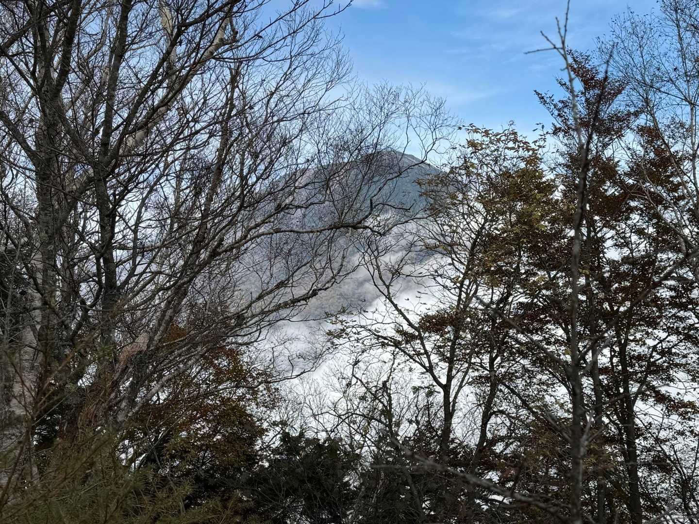 半月山-半月峠-中禅寺山 往復コースの写真