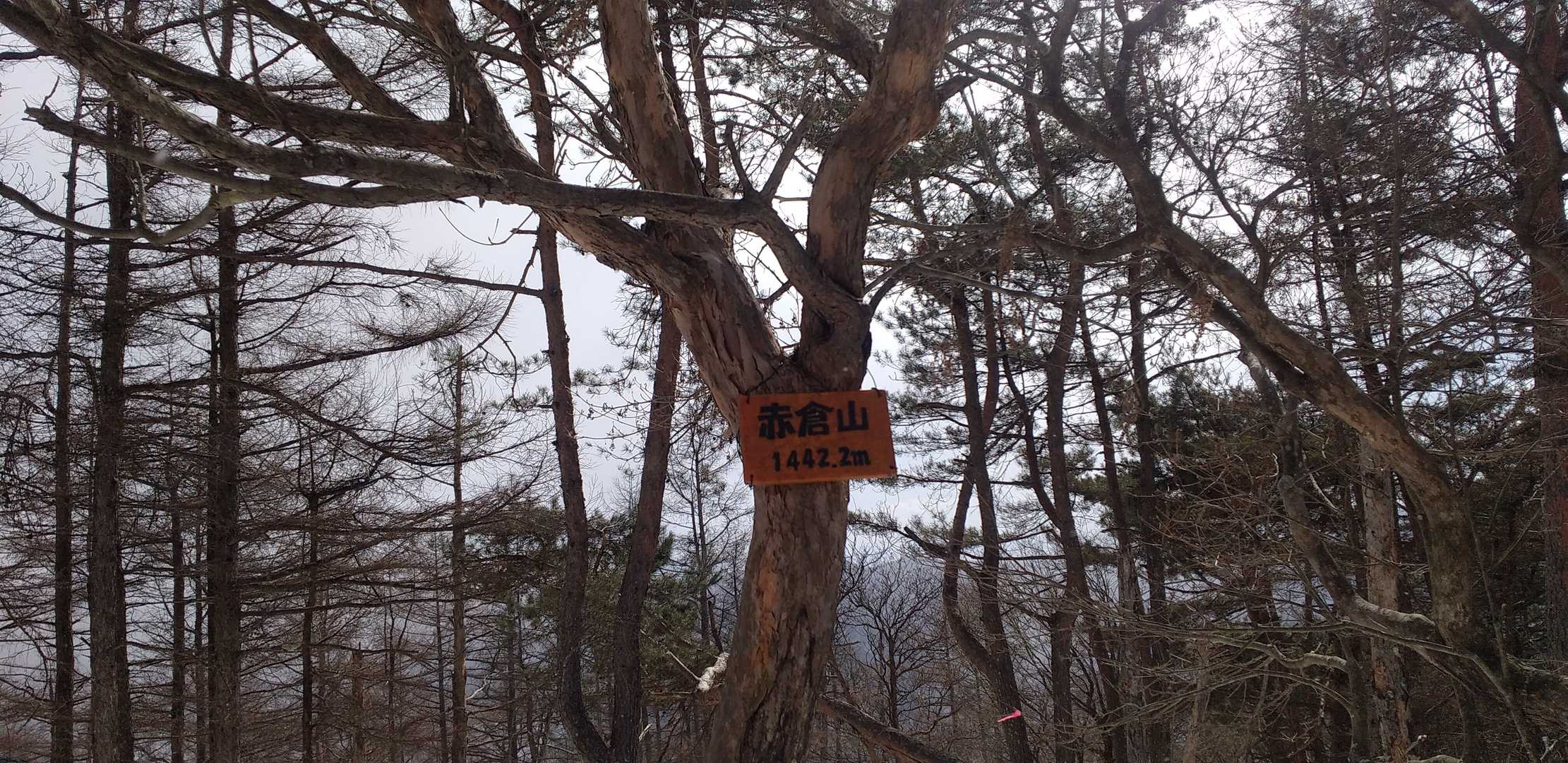 山頂