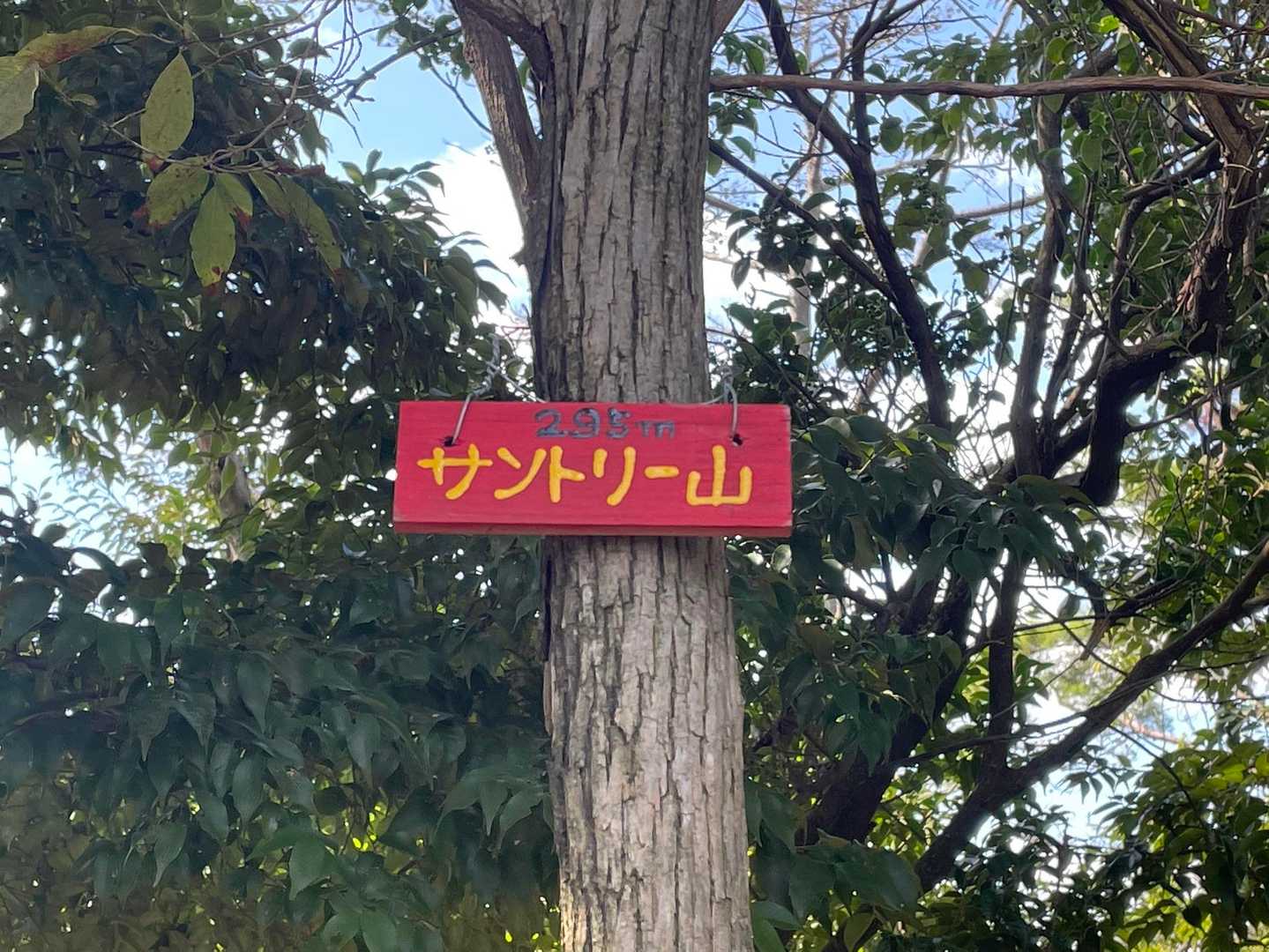 途中から
YAMAP始めて3日目くらいのお姉様と
一緒に歩く事に😊