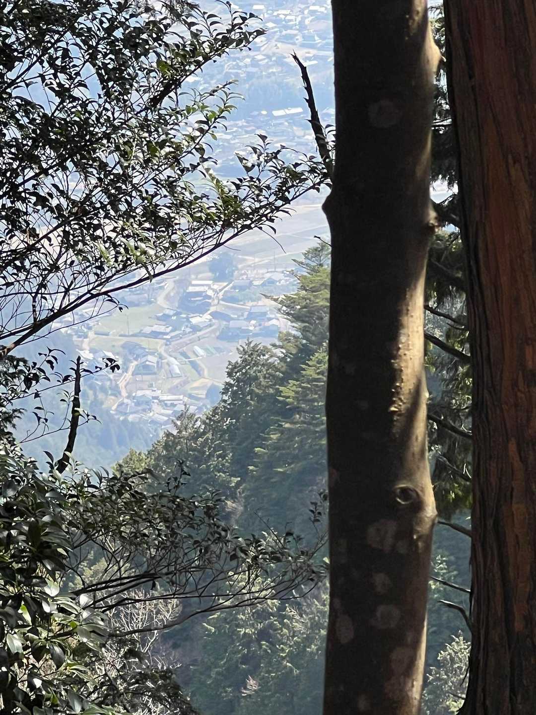 下の町は大原かな