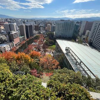 山頂から福岡市内