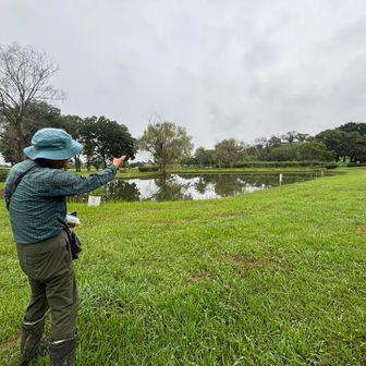 古墳と山と野鳥にとても詳しく、
あちこちで講演をしているという
おとうさんに出会い
この行田古墳について熱弁を頂いたので
そのワクワクするような情報を手に入れた上で登るのは楽しみ☺️