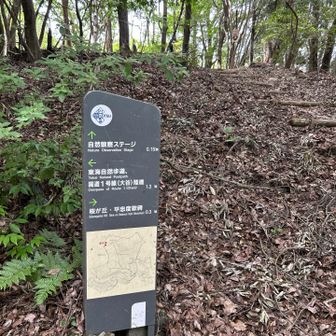 ⬆️自然観察コース

　　兜山に向かうが､､､