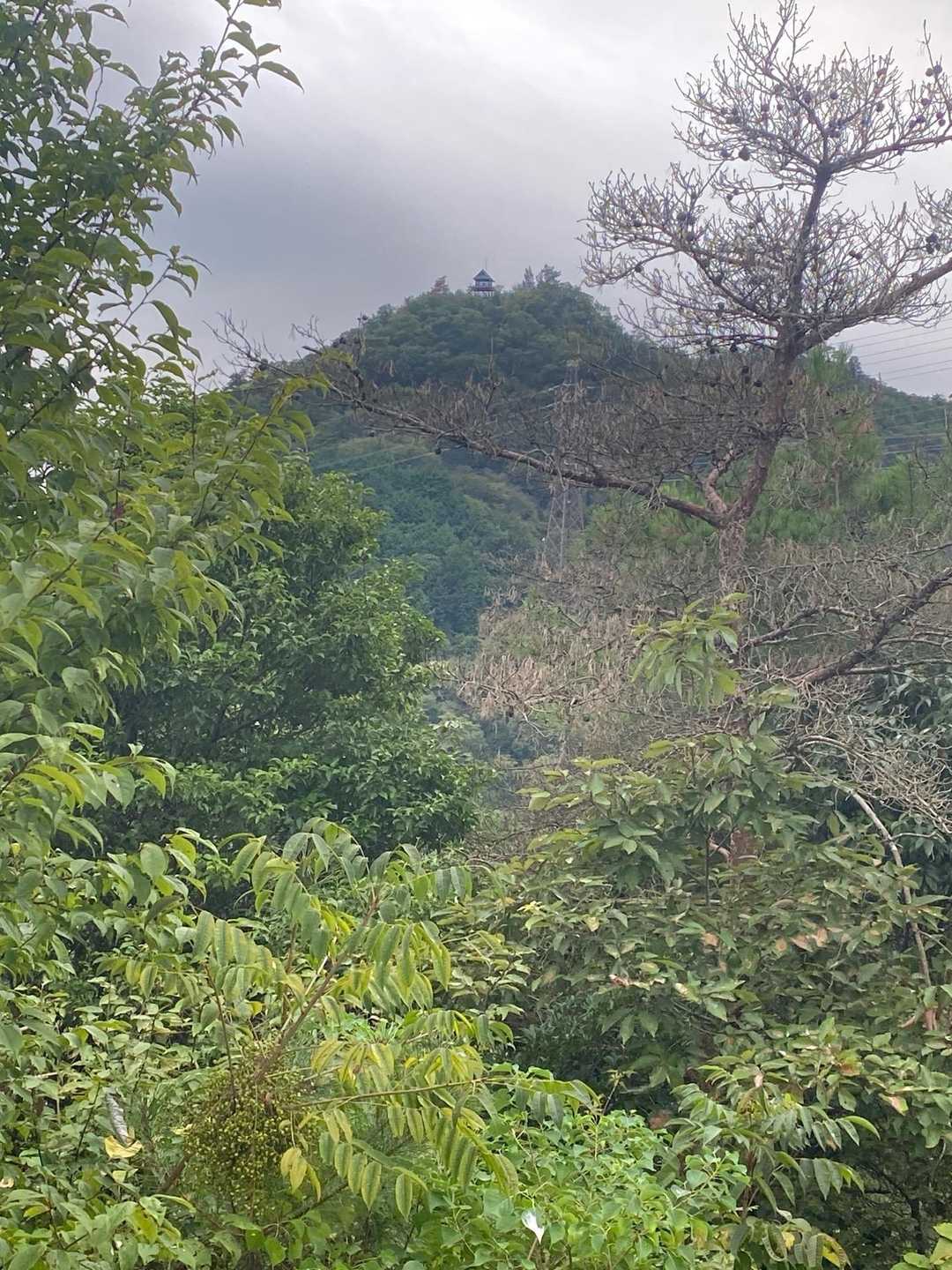 猿啄城跡🏯