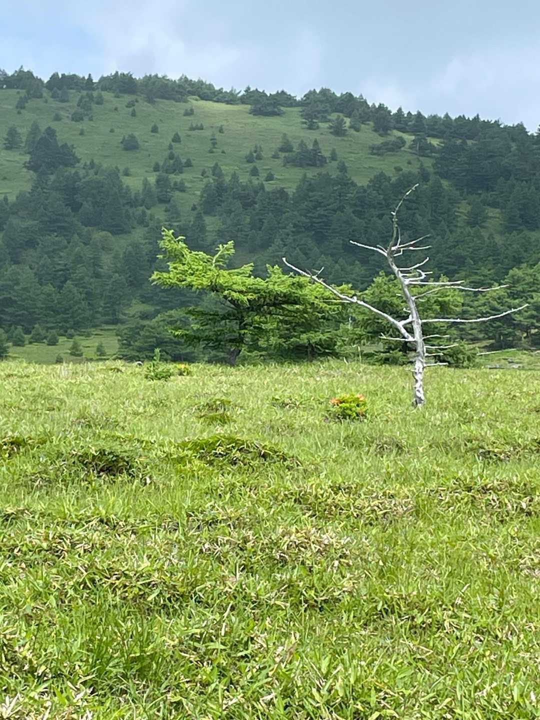 先程の三方ヶ峰
木道の途中に何ヶ所かの休憩所☕️がありました