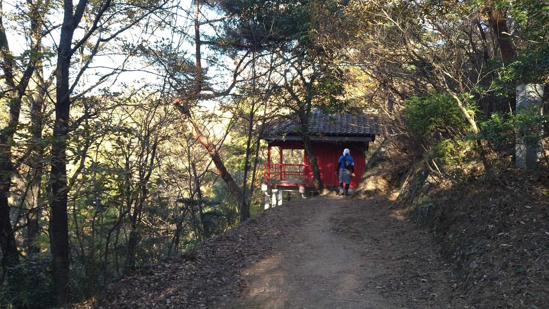 山川浅間山-あわぎ山-大坊山 往復コースの写真