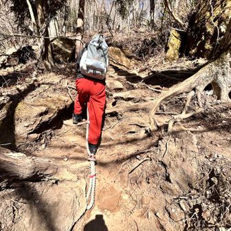 こんなところもあります。