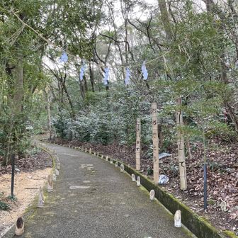 新年に向けて準備してあります。蝋燭🕯️が灯るそうです。🎍